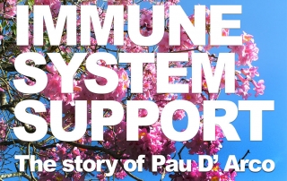 The story of Pau D Arco. Herbalists agree that Pau D' Arco strengthens and balances the immune system.