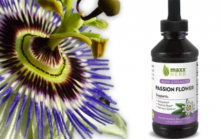 PassionFlower, Passiflora, is a natural herbal remedy with many health benefits.