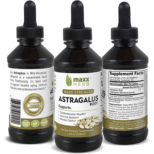 Astragalus Root Extract Ingredients | Maxx Herb Supplement 