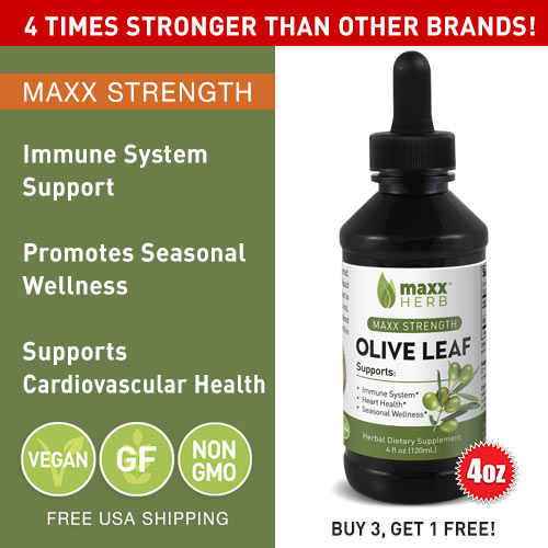 IMMUNE SUPPORT SUPPLEMENT BY MAXX HERB | Olive Leaf Liquid Extract (4 Oz Bottle with Dropper) By Maxx Herb is an herbal dietary supplement that supports the immune system and promotes seasonal wellness.