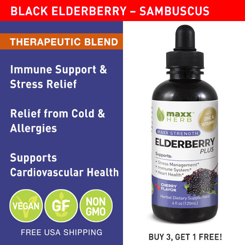 IMMUNE SUPPORT SUPPLEMENT BY MAXX HERB | Elderberry Plus liquid extract contains high flavonoid & antioxidant levels in an easily absorbed & quick-acting liquid form. With the additional benefits of Zinc and Vitamin C, it can be your whole family's go to formula for immune support!