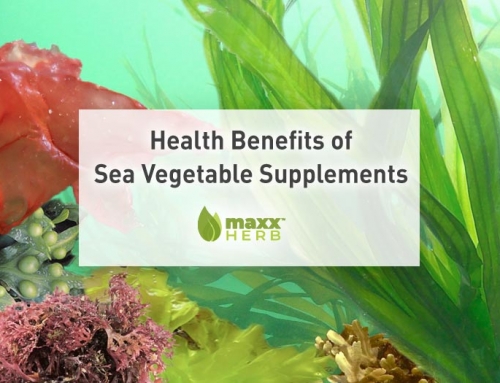 Health Benefits of Sea Vegetable Supplements