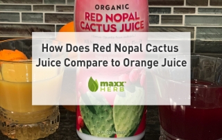 How Does Red Nopal Cactus Juice Compare to Orange Juice by Maxx Herb | The original Maxx Herb