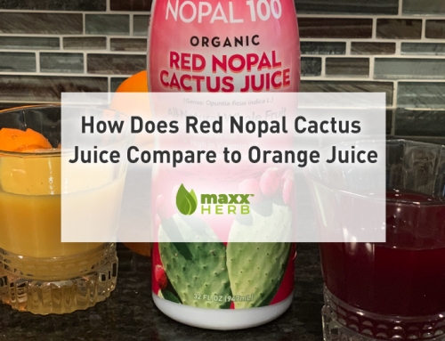 How Does Red Nopal Cactus Juice Compare to Orange Juice