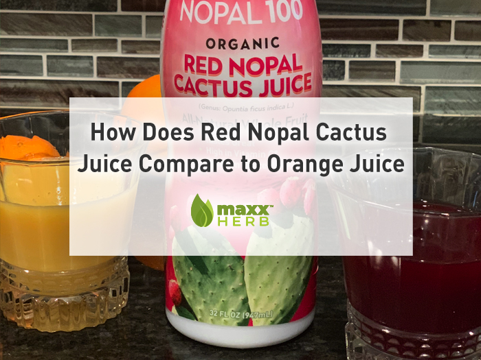 How Does Red Nopal Cactus Juice Compare to Orange Juice by Maxx Herb | The original Maxx Herb