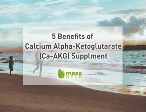 5 Benefits of Calcium Alpha-Ketoglutarate (Ca-AKG)