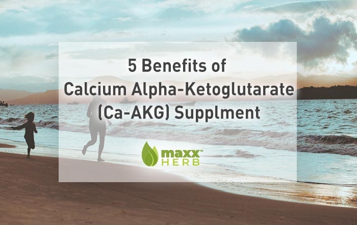 5 Benefits of Calcium Alpha-Ketoglutarate (Ca-AKG) | CA-AKG Supplement from Maxx Herb. Official Maxx Herb herbal dietary product.