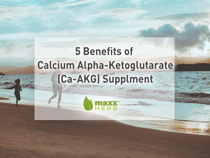 5 Benefits of Calcium Alpha-Ketoglutarate (Ca-AKG) | CA-AKG Supplement from Maxx Herb. Official Maxx Herb herbal dietary product.