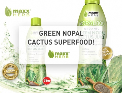 Green Nopal Cactus Superfood Juice