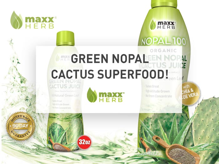 Green Nopal Cactus Superfood Juice - New from Maxx Herb Green organic Nopal cactus juice.